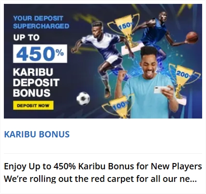 bonus-3 Karibu Bonus up to four hundred fifty percent