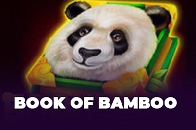Book of Bamboo panda with green book